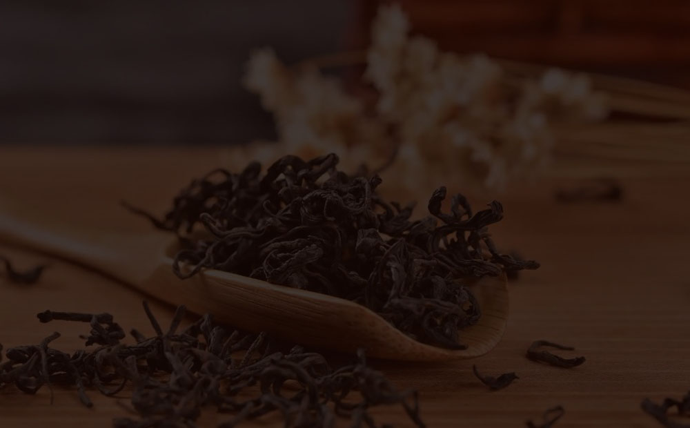 茶叶宁波发印尼国际物流服务